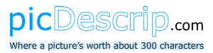 picDescrip.com - Where a picture's worth about 300 characters
