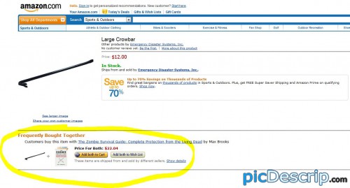 picDescrip.com - WTF?! - Epic Amazon suggestion.