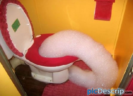 picDescrip.com - Prank - ... I'm not sure.