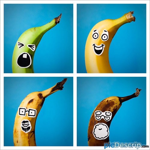 picDescrip.com - Strange - Birth to Old Age.