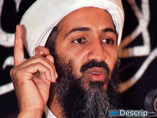 bin laden and george bush. osama in laden and george