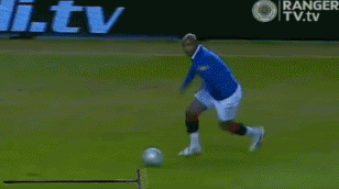 picDescrip.com - Parody - El Hadji Diouf.Garden rake?