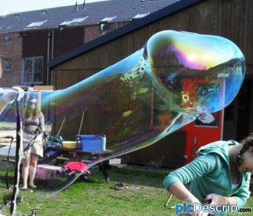 picDescrip.com - Strange - Penis bubble?