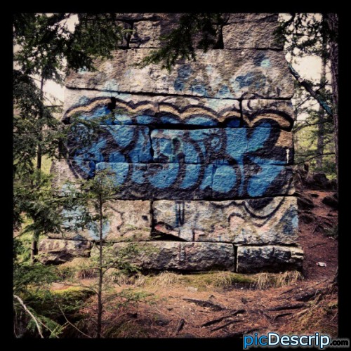 picDescrip.com - Photography and Art - Sweet tag