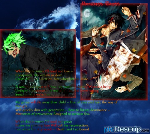 picDescrip.com - Photography and Art - read picture